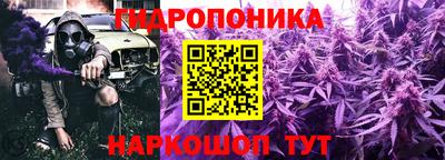 скорость Славгород