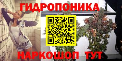 скорость Славгород