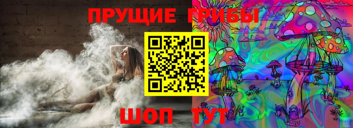 Псилоцибиновые грибы Cubensis Саяногорск