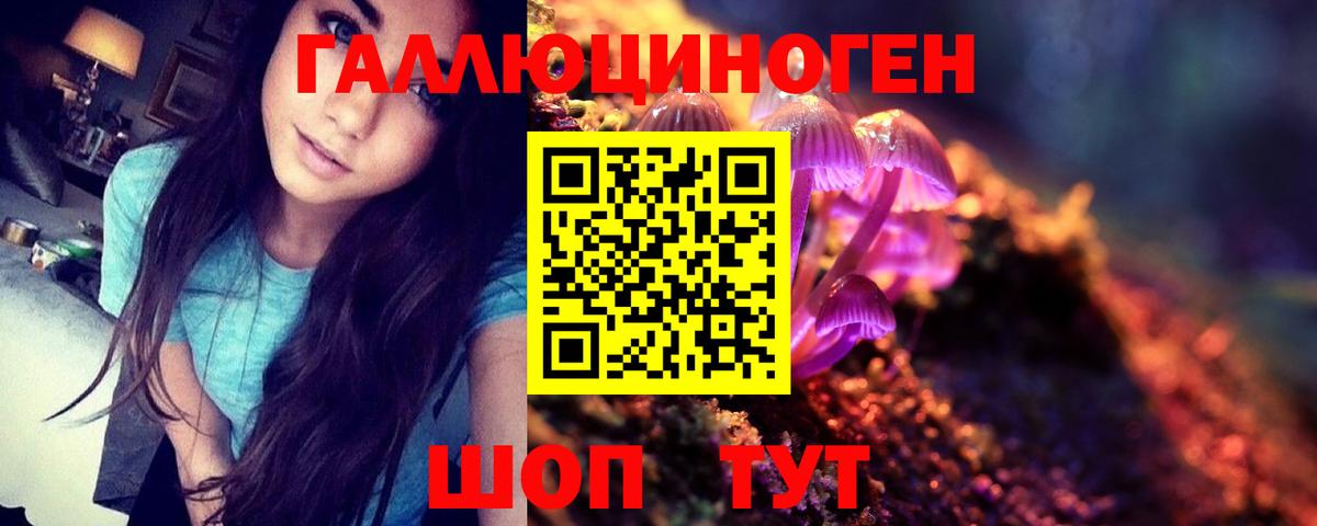 Саяногорск  Галлюциногенные грибы Psilocybine cubensis  Галлюциногенные грибы мухоморы  Вход с VPN 